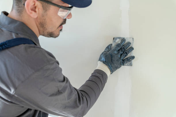 Mold Odor Removal Services in Quincy, WA