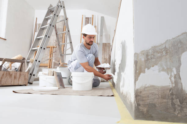 Best Forensic Mold Investigation  in Quincy, WA