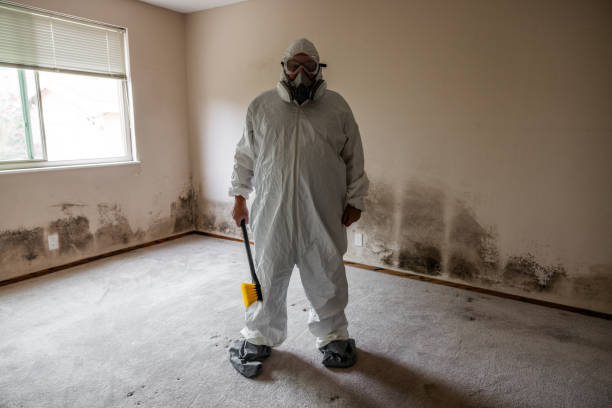 Mold Documentation for Insurance Claims in Quincy, WA
